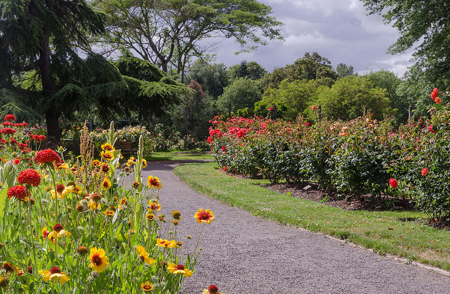 Owen Rose Garden